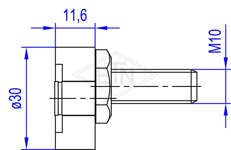 Riegelrolle PA6 ø30/10 x 11,6 mm, mit Exzenter